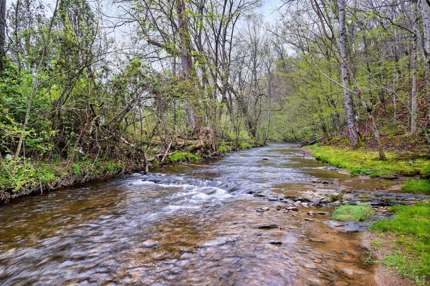 Villa 1 Mile To Pkwy, Pets, Hot Tub, Creekside, Porch à Pigeon Forge Extérieur photo