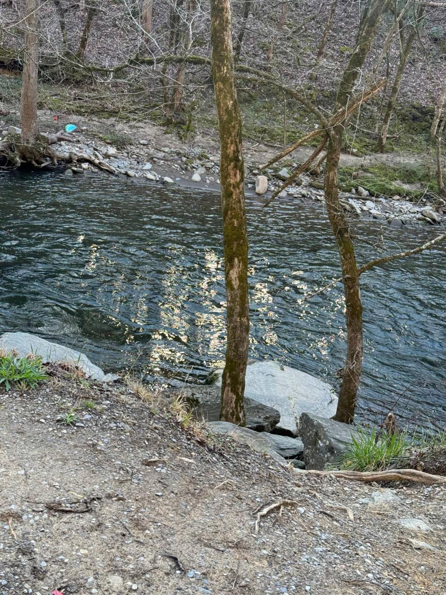 Villa 1 Mile To Pkwy, Pets, Hot Tub, Creekside, Porch à Pigeon Forge Extérieur photo